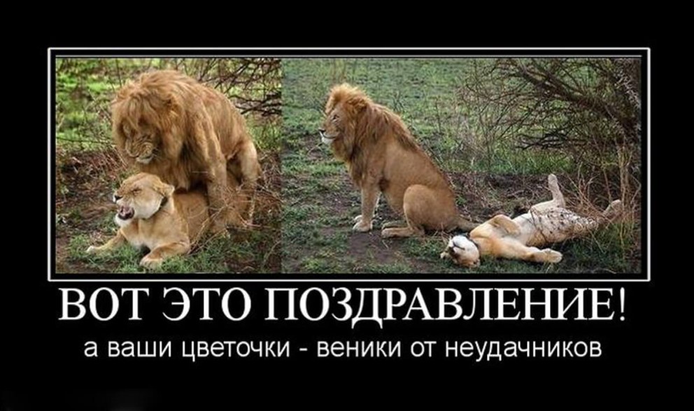 Юлия Лаврова модель плюс