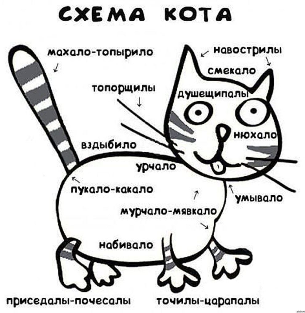Паспорт на имя Ирина