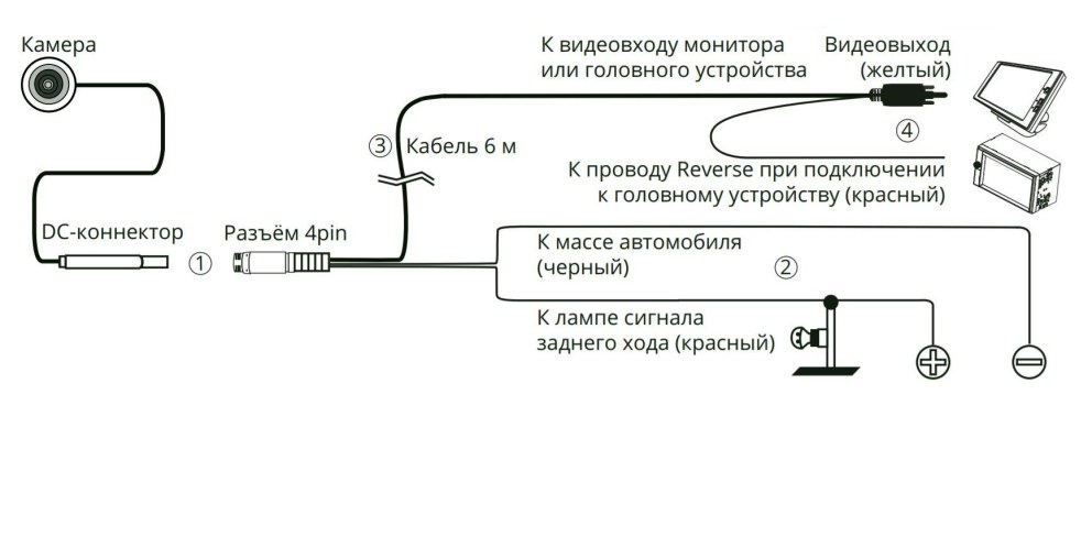 Read and complete the sentences