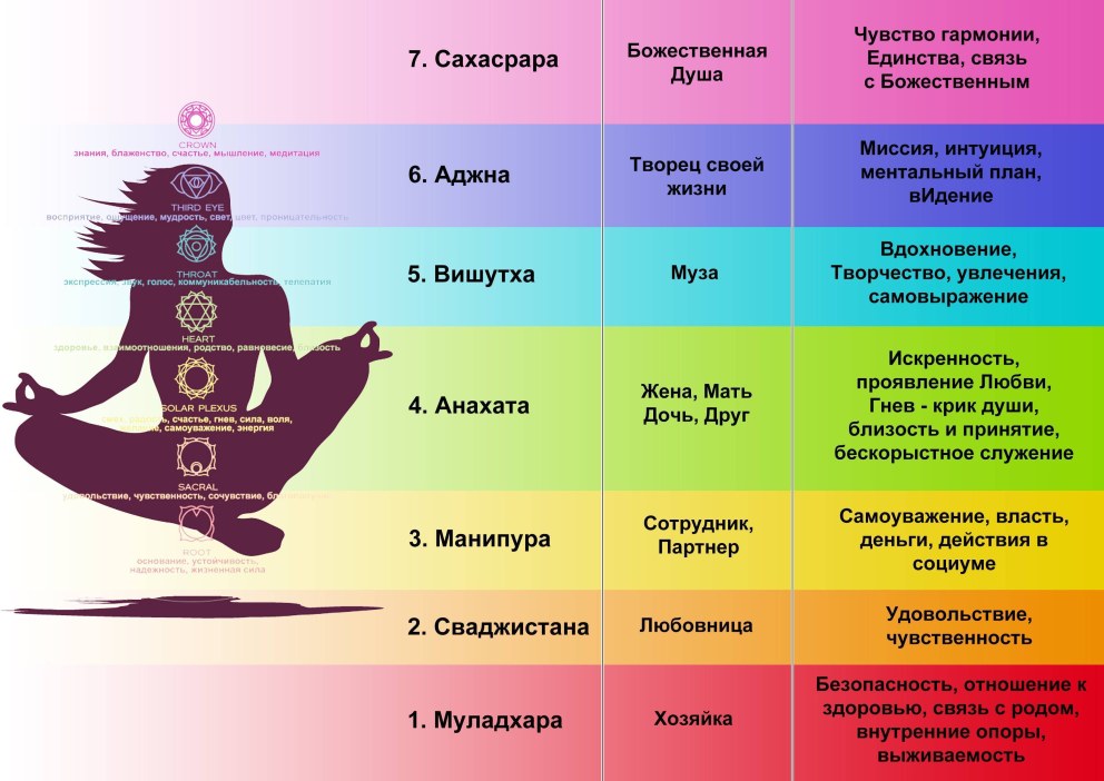 Михалина Новаковская слив 2020
