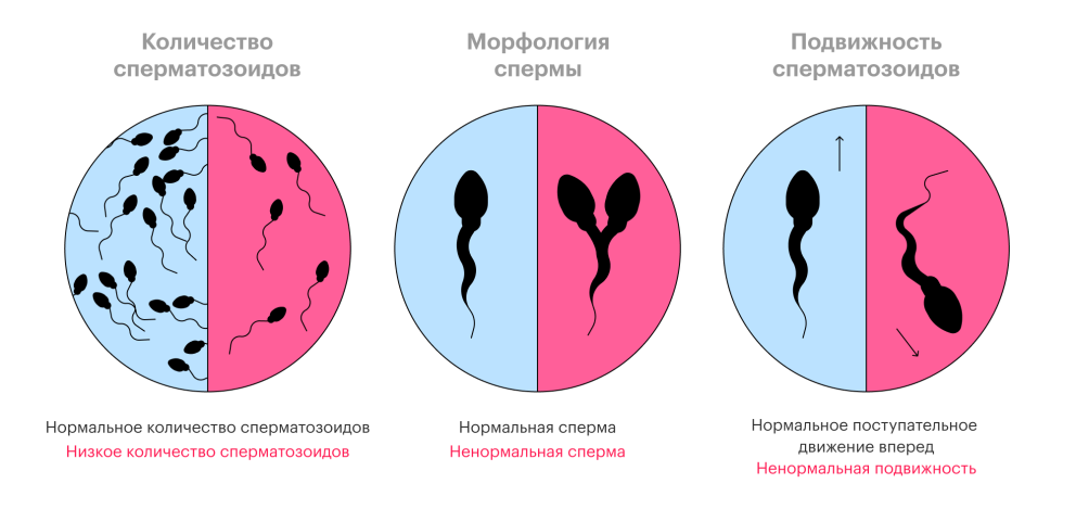 Кааба вектор