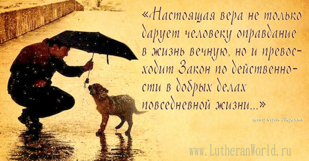 Я люблю тебя Светочка