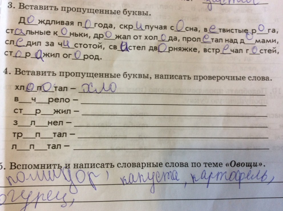 Стандартная аватарка гугл