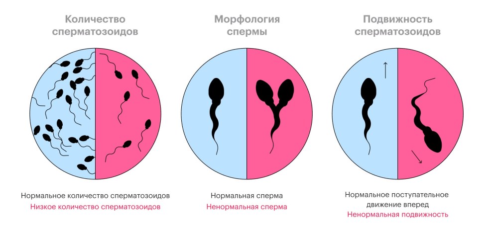 Закрой дверь блеать