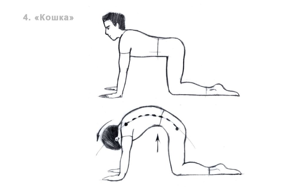 Эндосфера Результаты