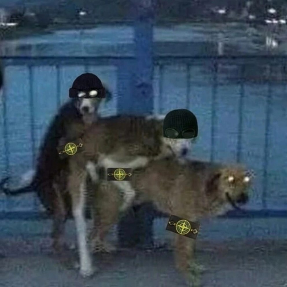 Оргия парней Натуралов