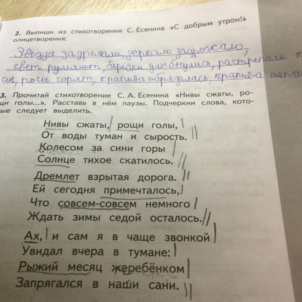 Ведьмак 3 кровь и вино