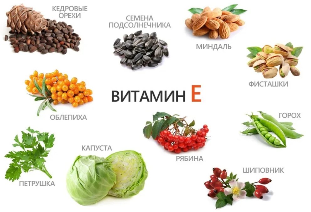 Витамин е в каких продуктах
