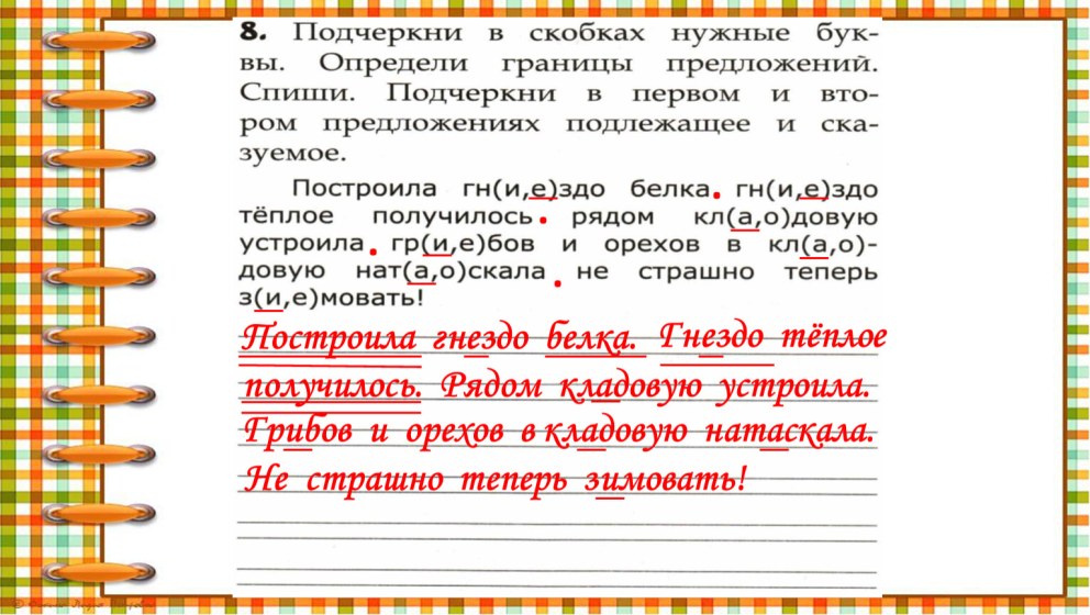 Построила гнездо белка гнездо теплое