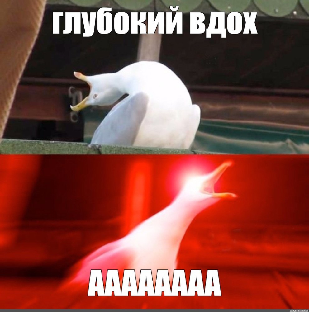 Елена Лисовская в купальнике