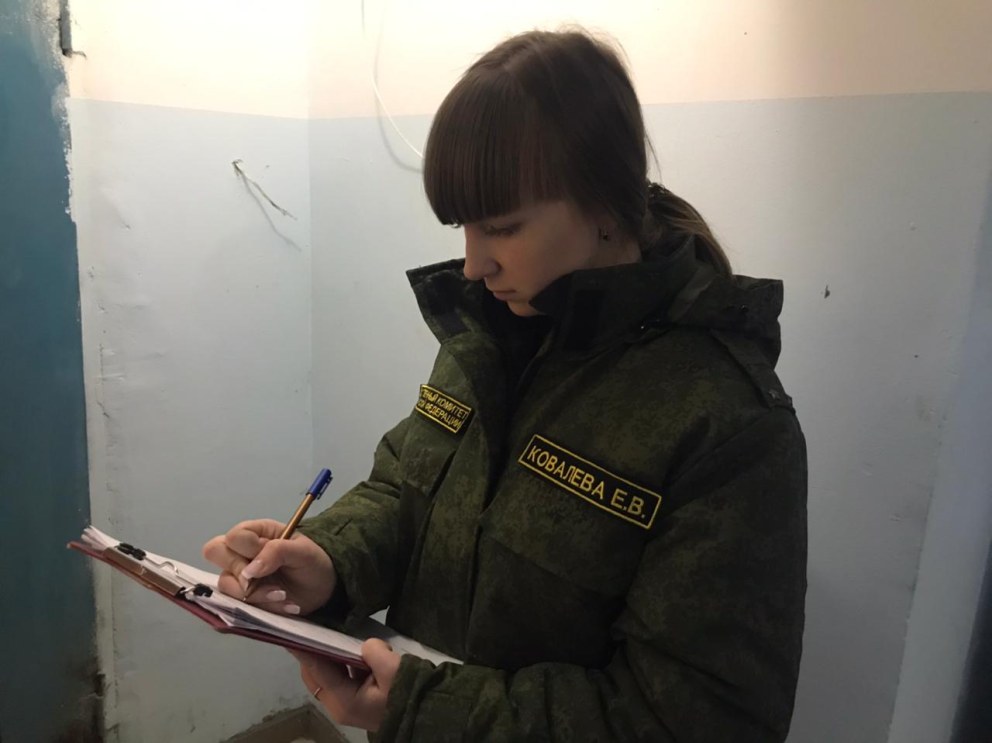 Заводский следователь