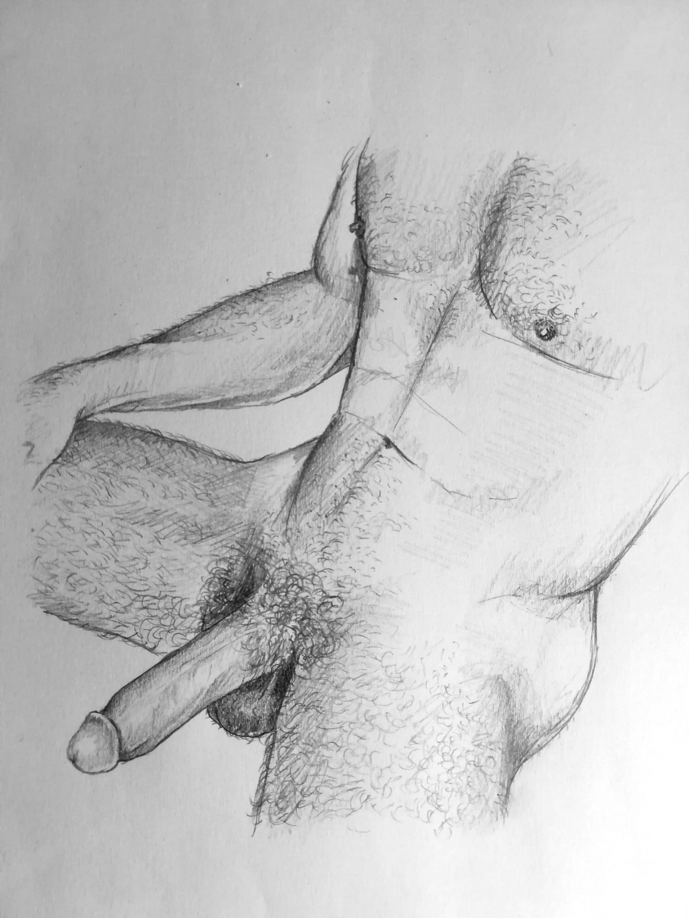 Рисование половых органов