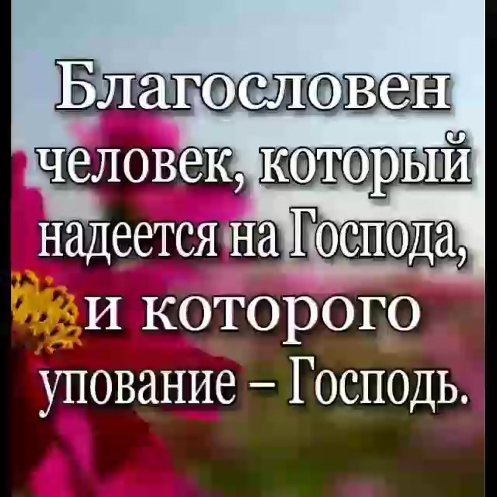 Геннадий янин скандальные фото