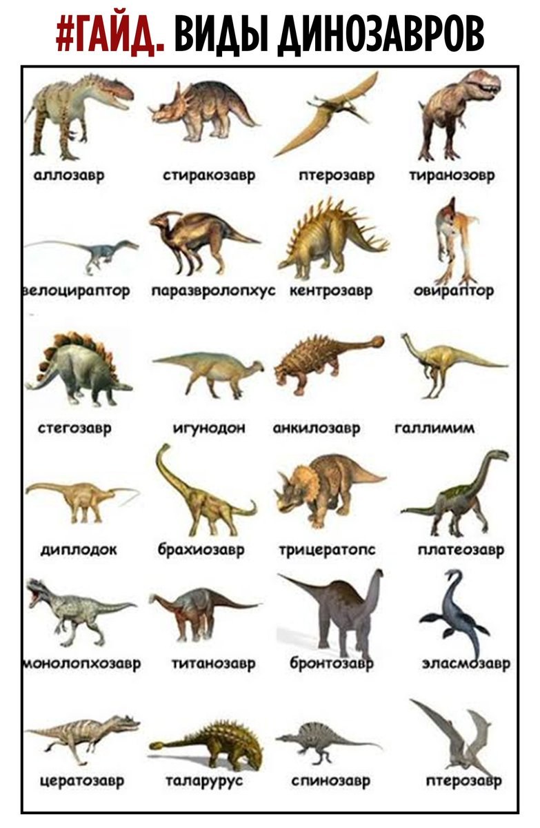 Динозавры виды и названия