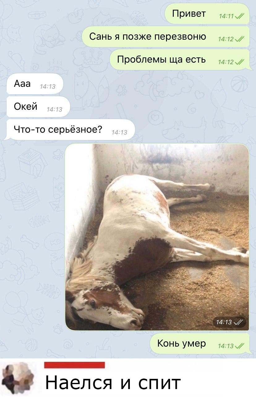Фильм очная ставка 1986 Елена Сафонова