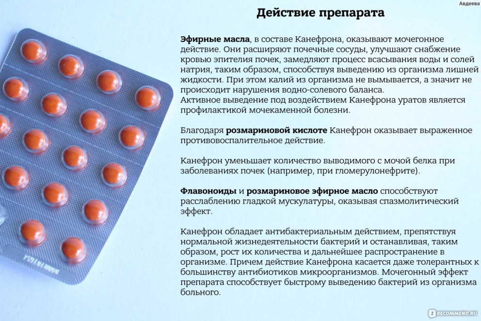 Противомикробные таблетки для почек