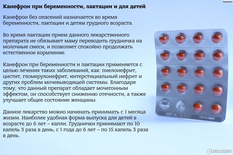 Канефрон таблетки при беременности 3