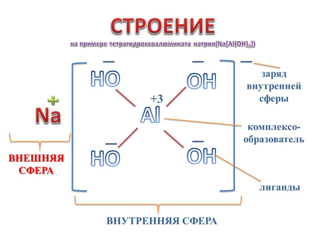 Алина бош, Катерина Айвазова