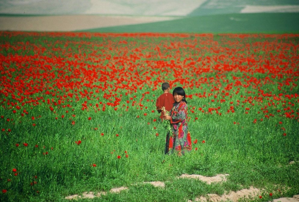 Afghan Mullah Rasool