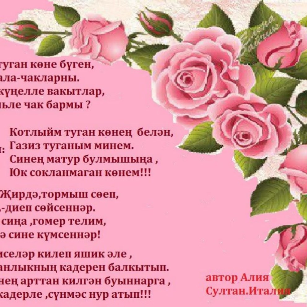 Хазал Хатун в жизни