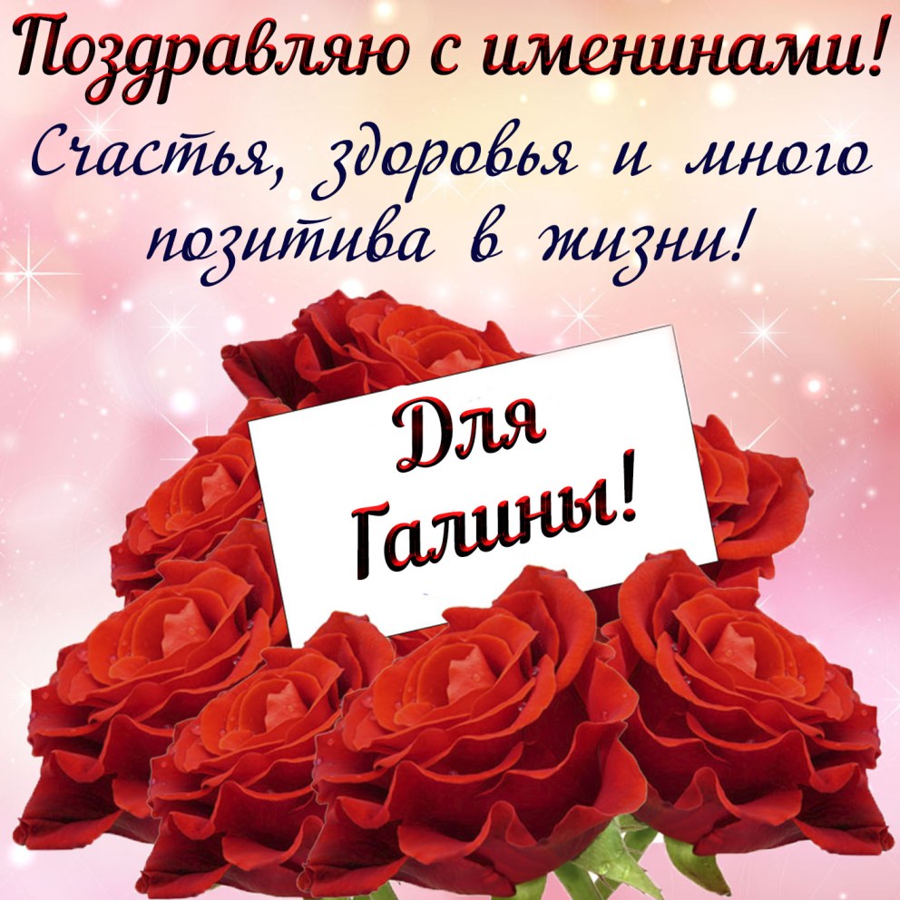 Красивые девушки в цветных колготках