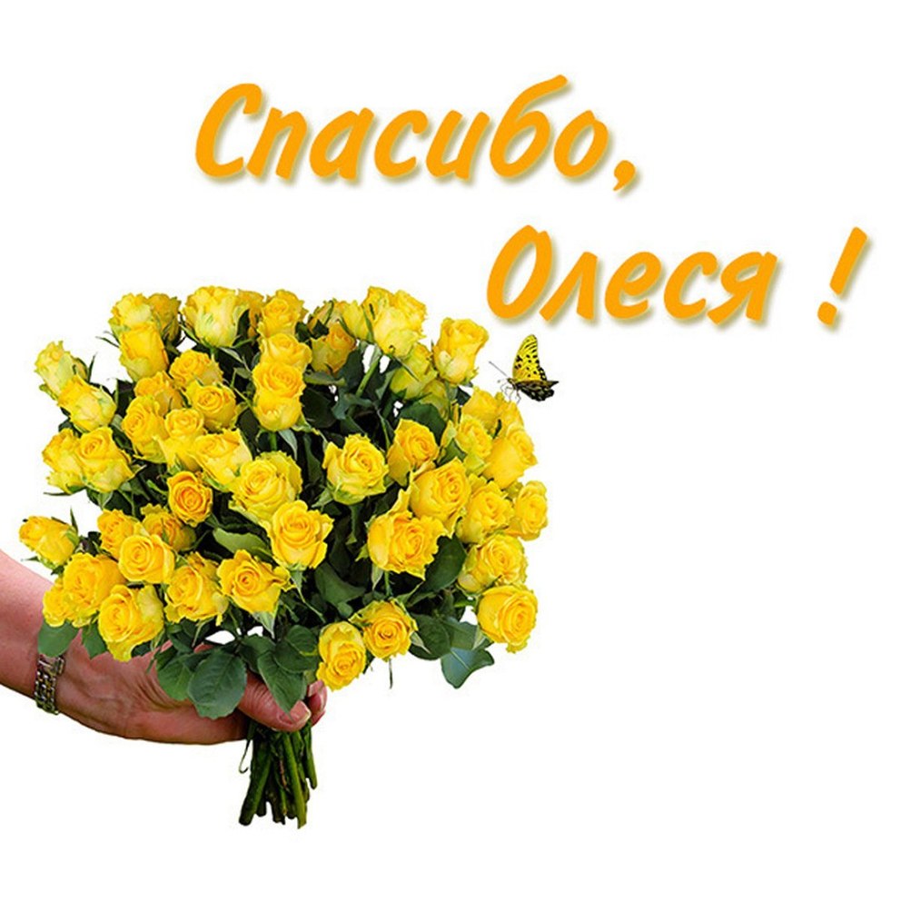 Спасибо Ирина